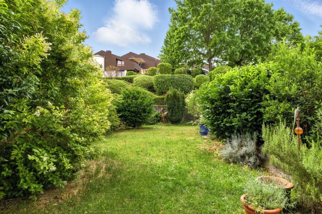 Blick in den Garten