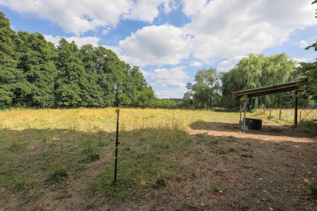 Hausstall Weide