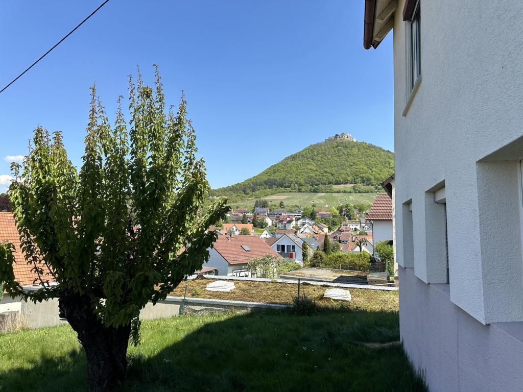 Ausblick