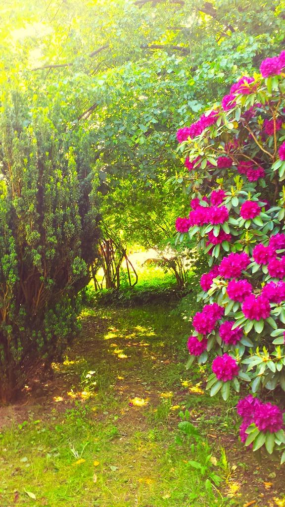 20150604_103713.jpg