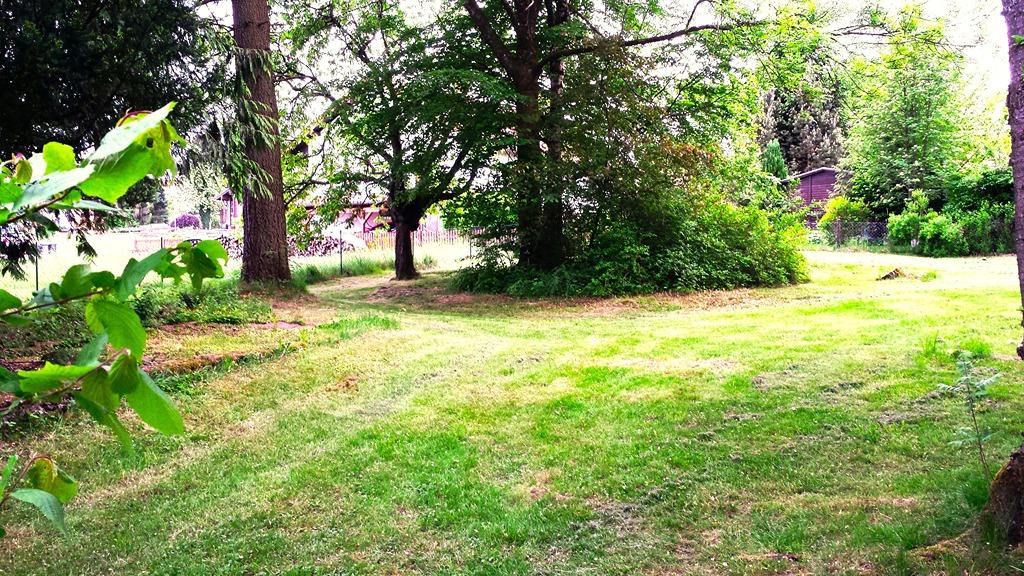 Gartenanlage.jpg