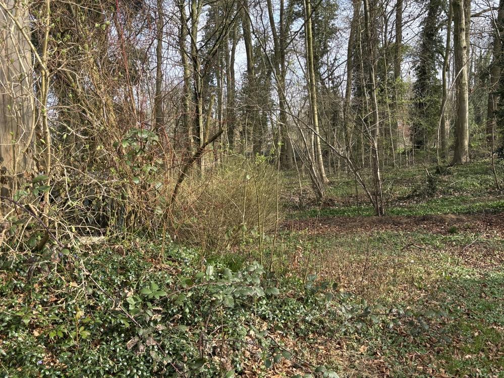 Blick von der Terrasse