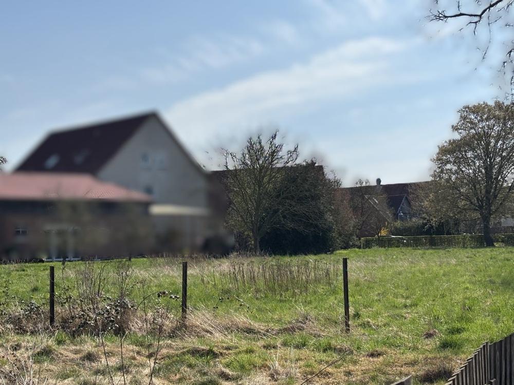 2934 Ansicht (4) unscharf