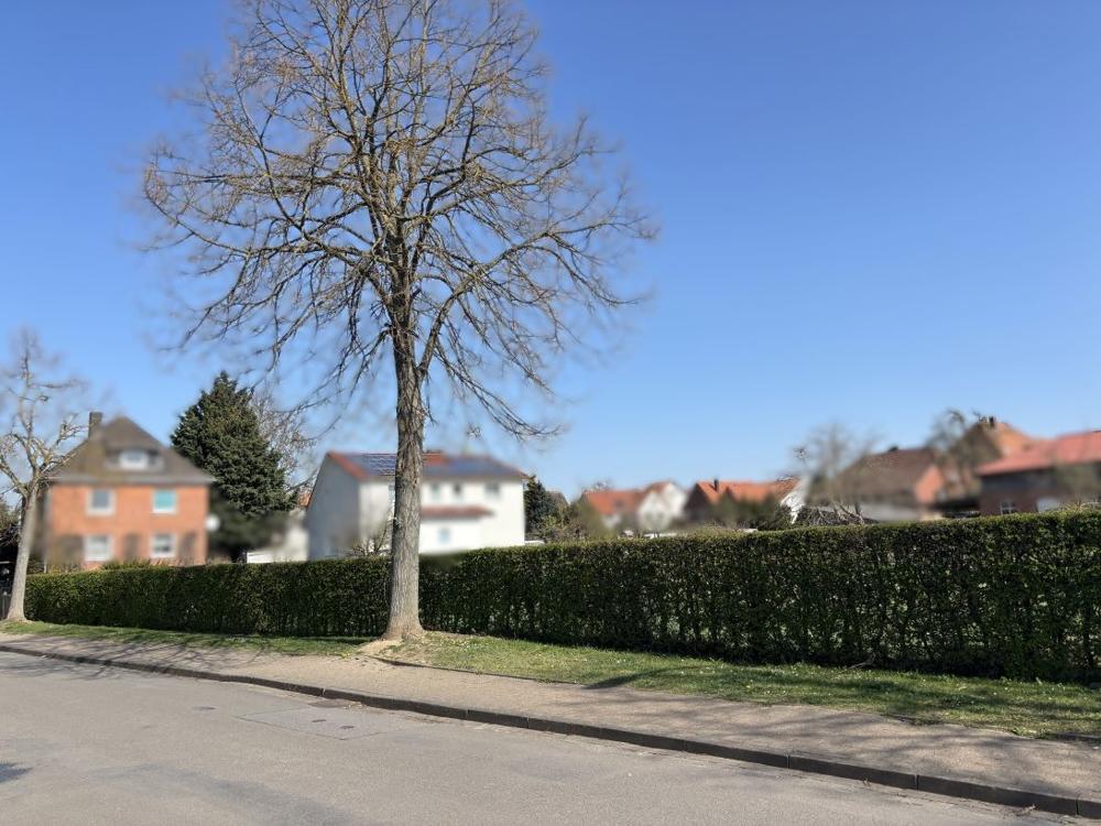2934 Ansicht (3) unscharf