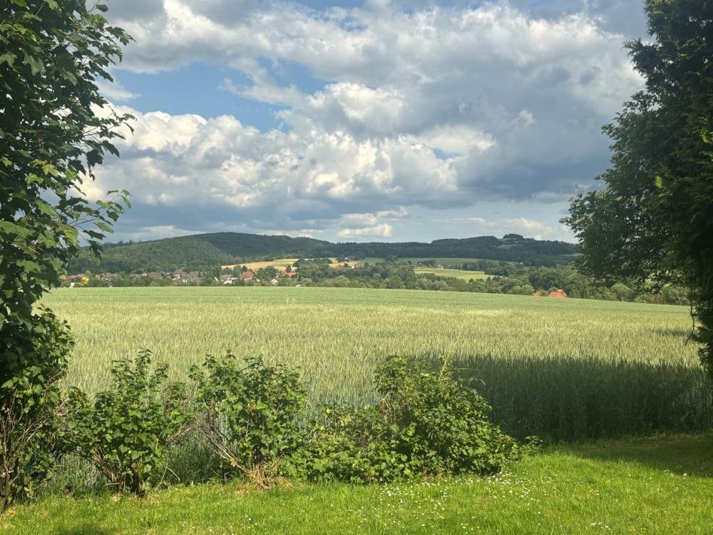 2955 Aussen (9)