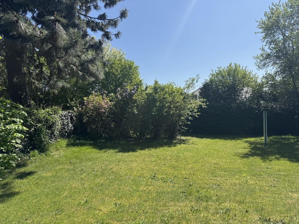Garten 1