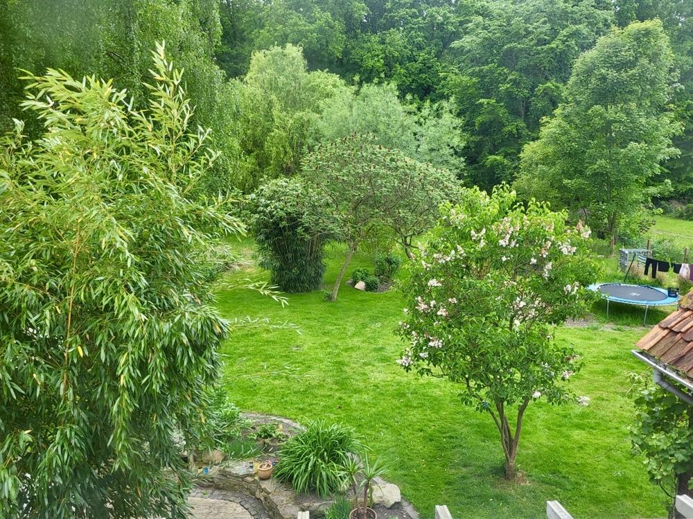 Blick in den Garten vom Schlafzimmer