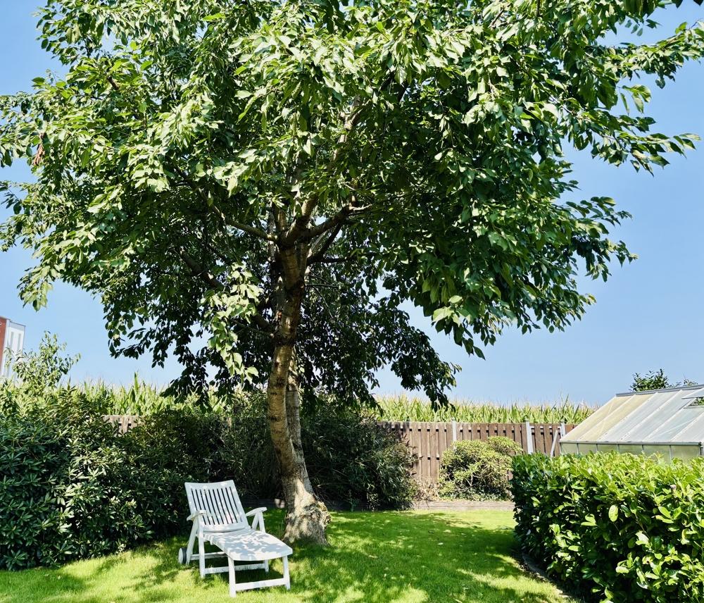 3034_Garten