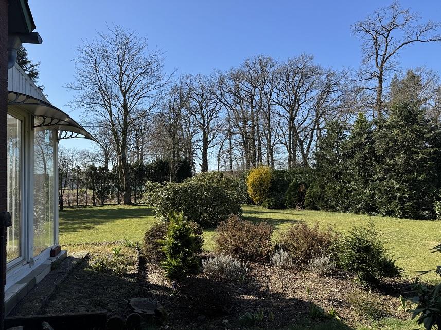 Ansicht Garten_5
