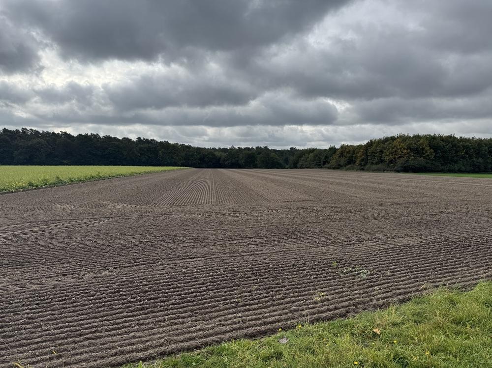 Ansicht v Norden