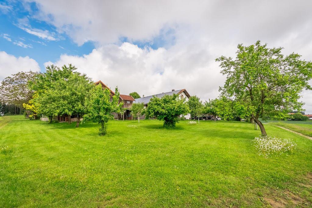 Obstgarten