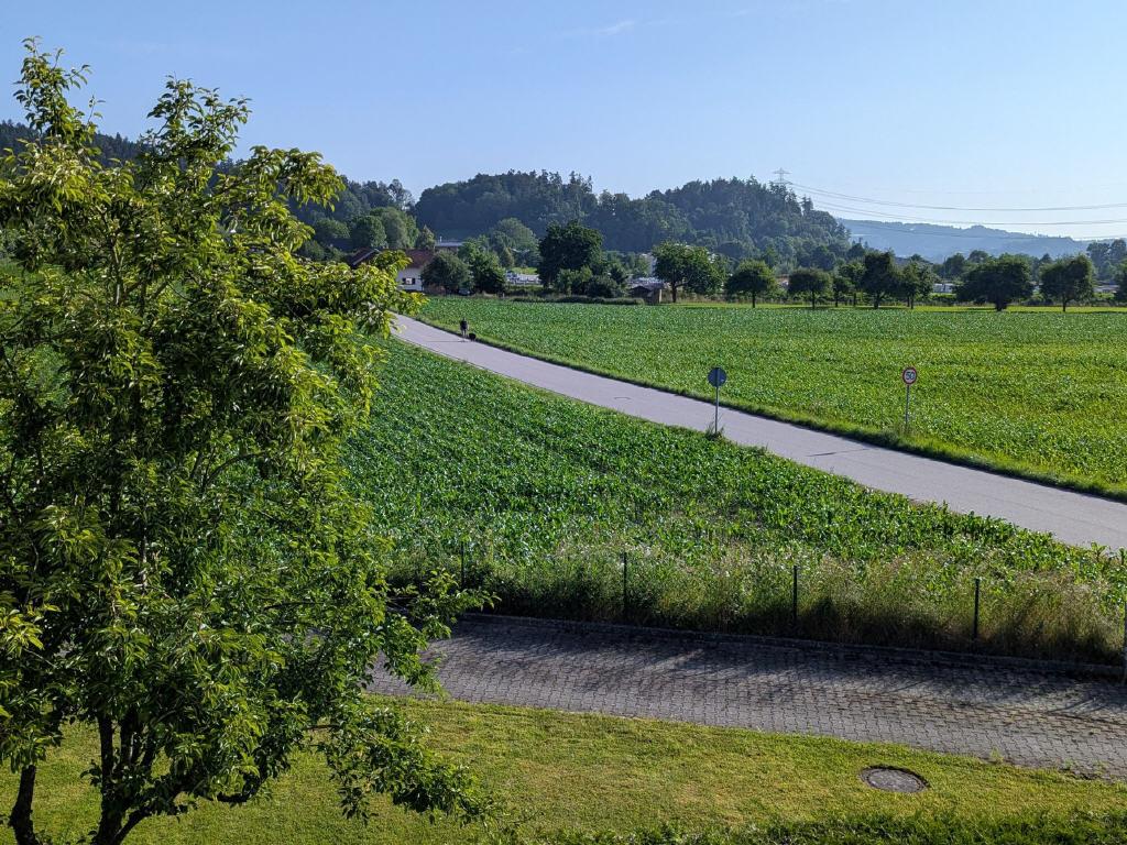 Blick vom Balkon nach Norden