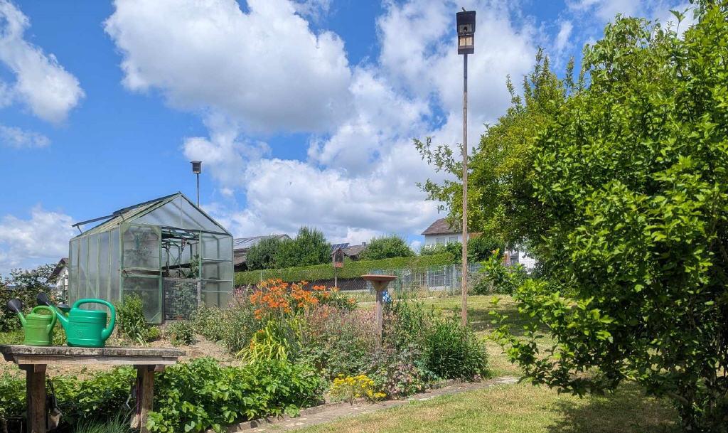 Blick in den Garten