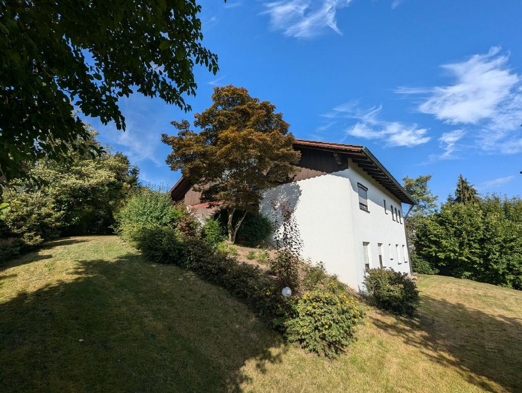 Bild5