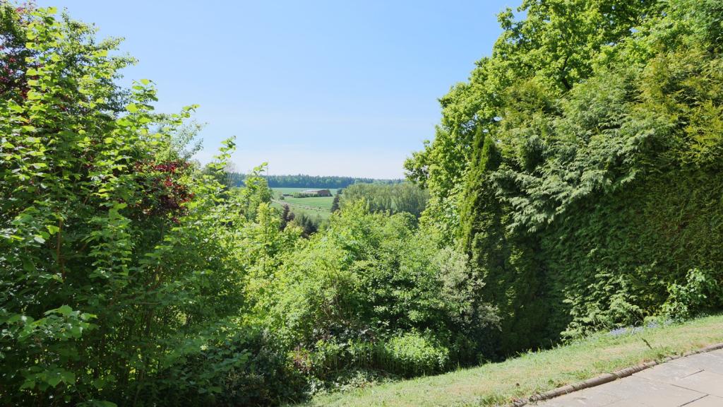 Blick vom Balkon