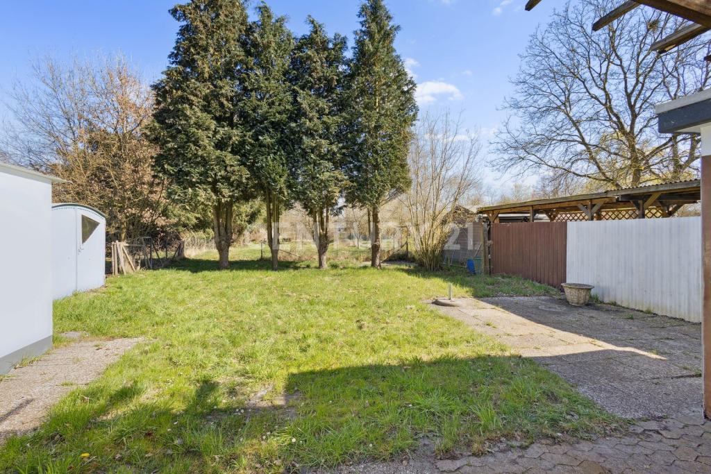 Blick in den Garten