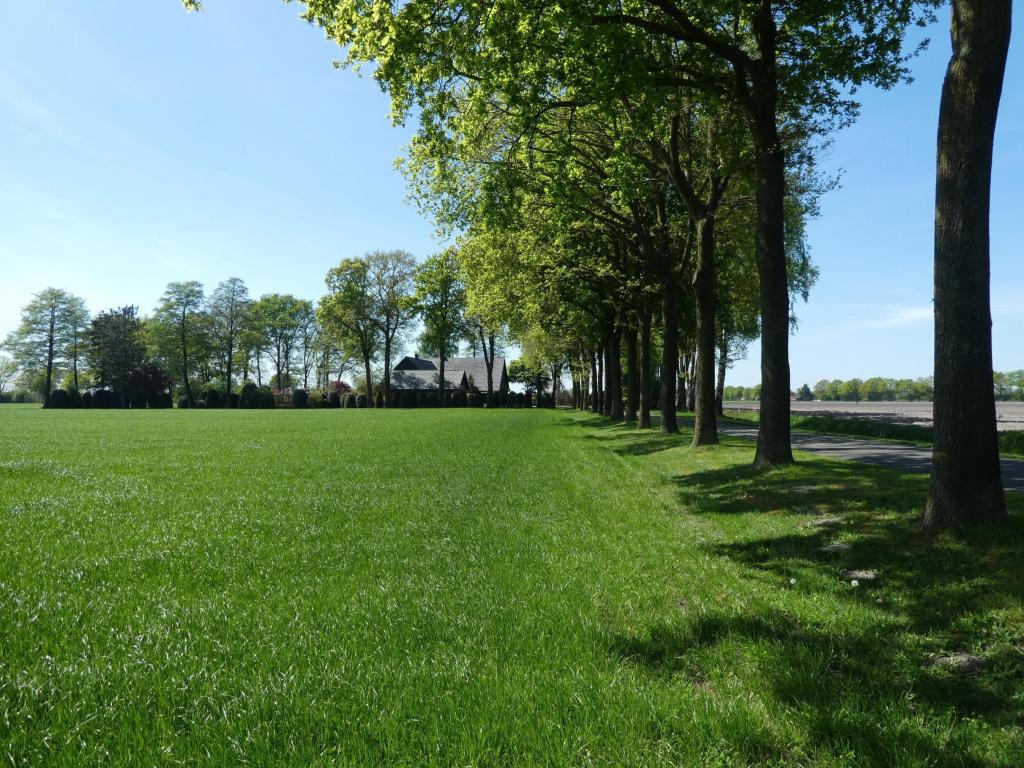 Straßensicht