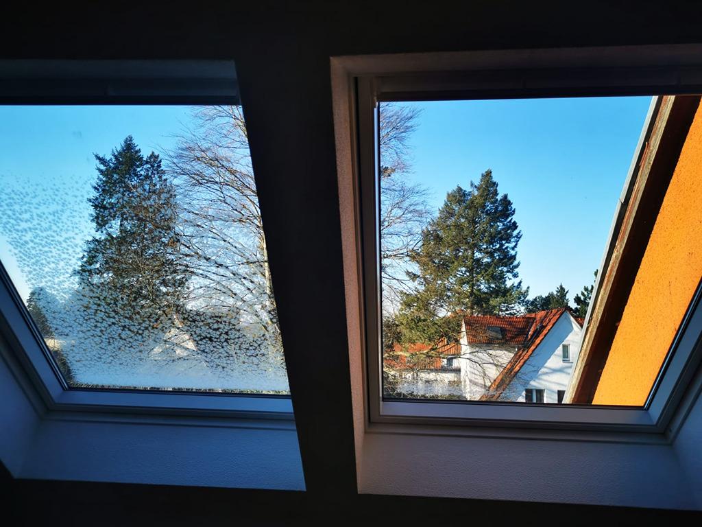 Aussicht .jpeg