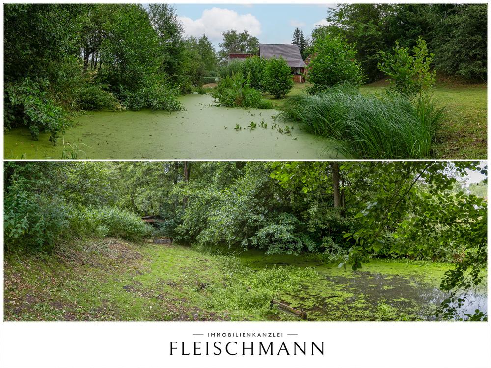 Blick auf den Teich