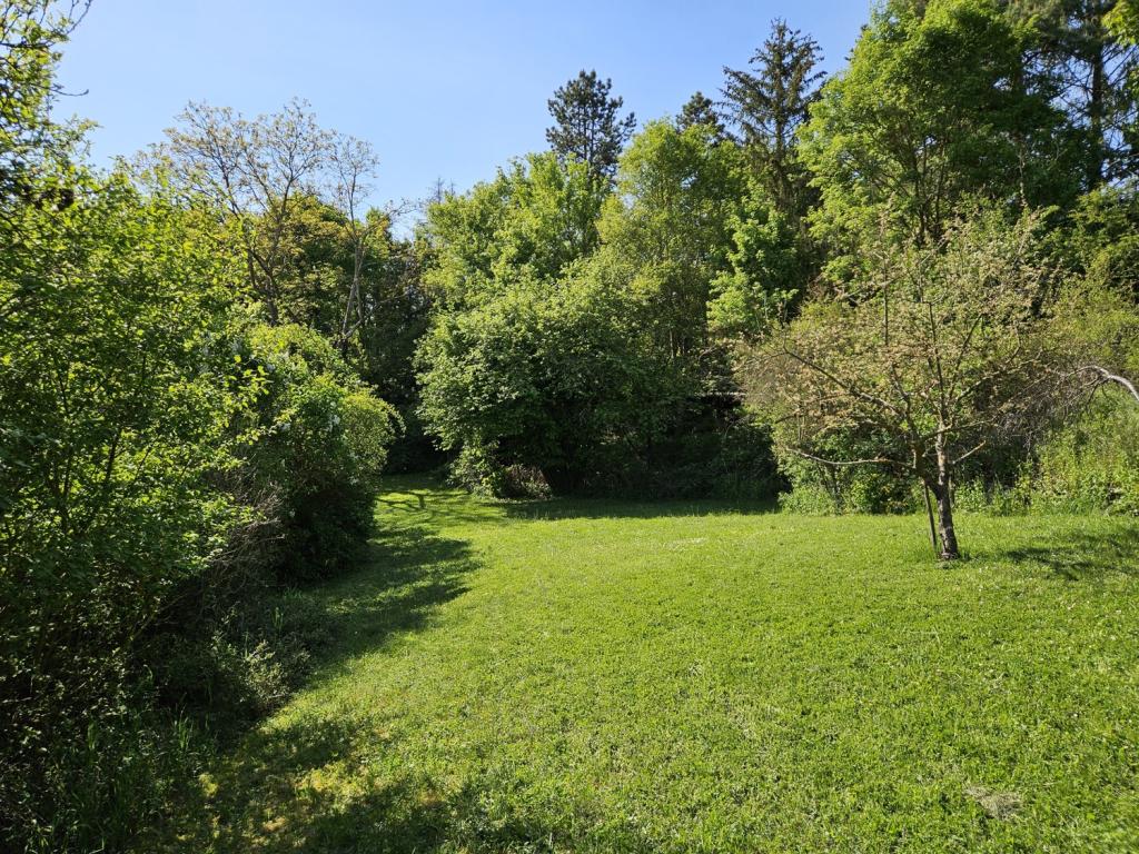 Teilansicht Grundstück