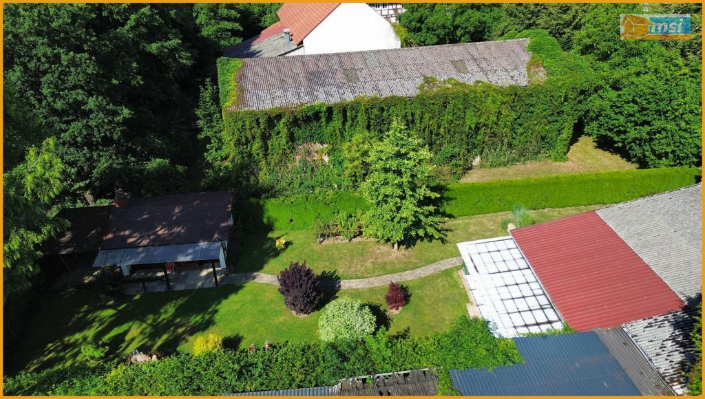 Blick über den Garten
