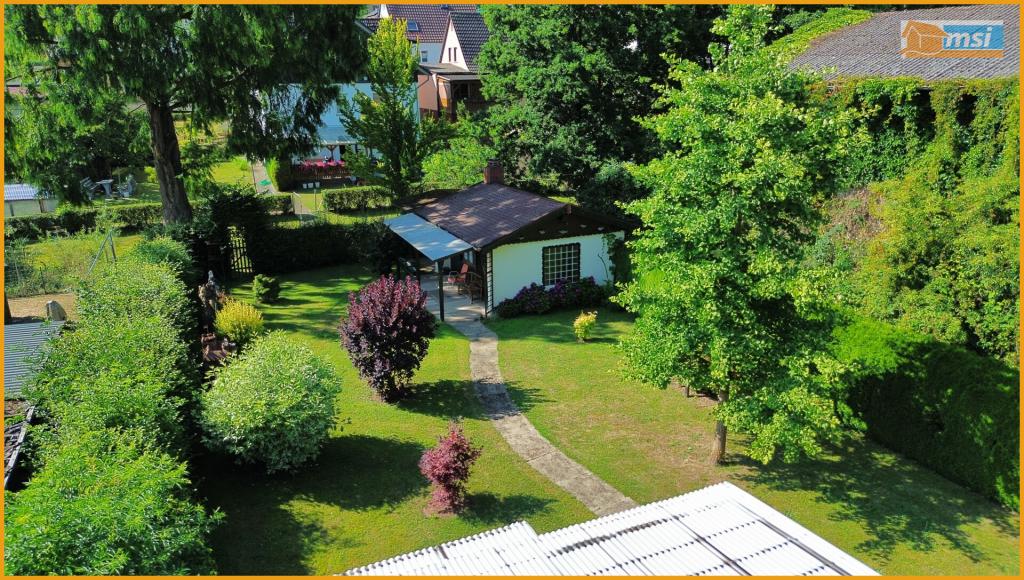 Blick in den Garten