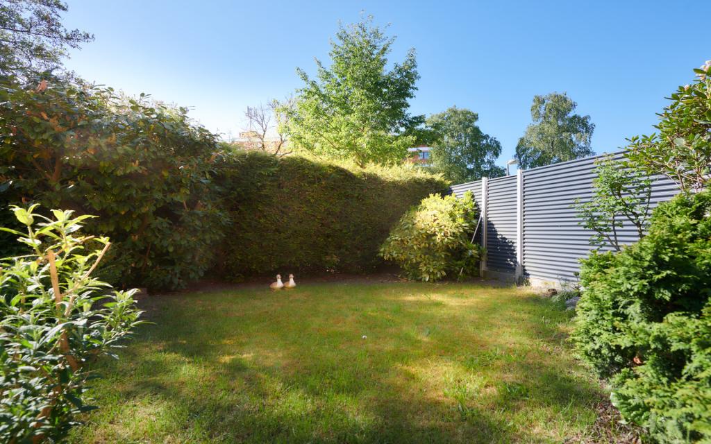 Das Rasenstück hinter der Terrasse