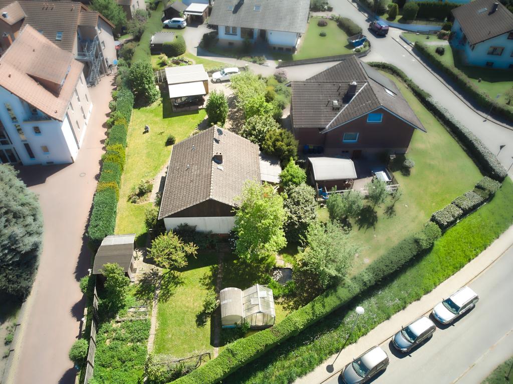 24603ecf-de91-4f08-8879-f3d4dd8b0b88.jpg