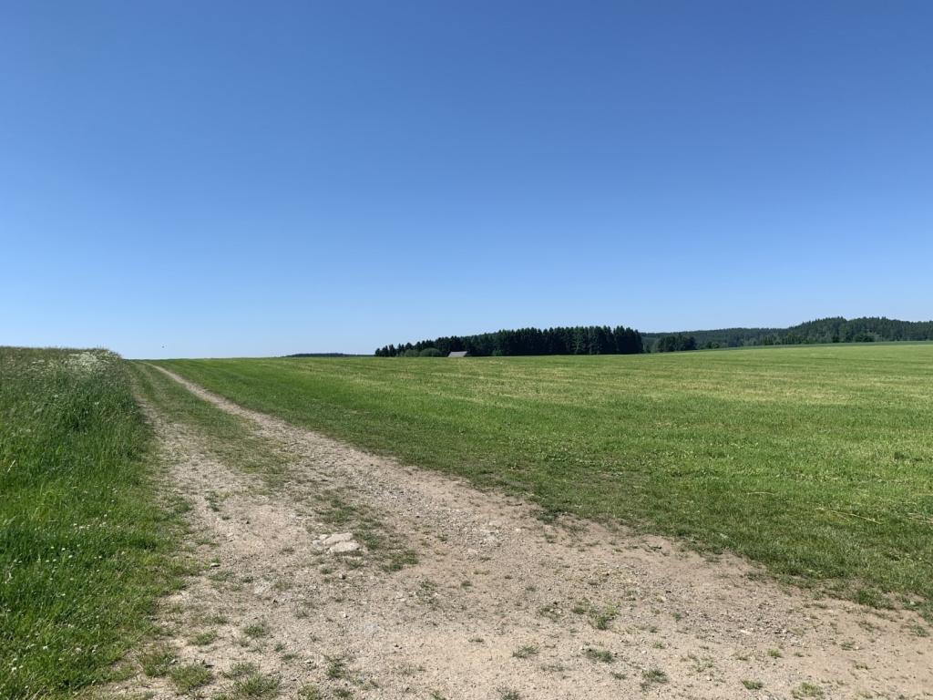 Grundstück - Blick Richtung Süden