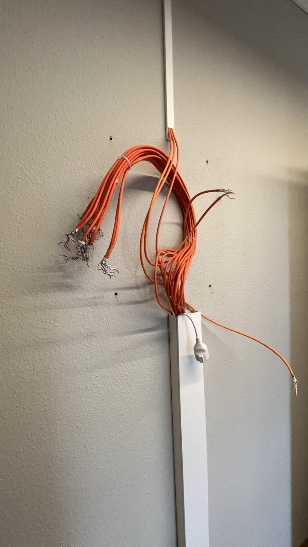 Netzwerkkabel