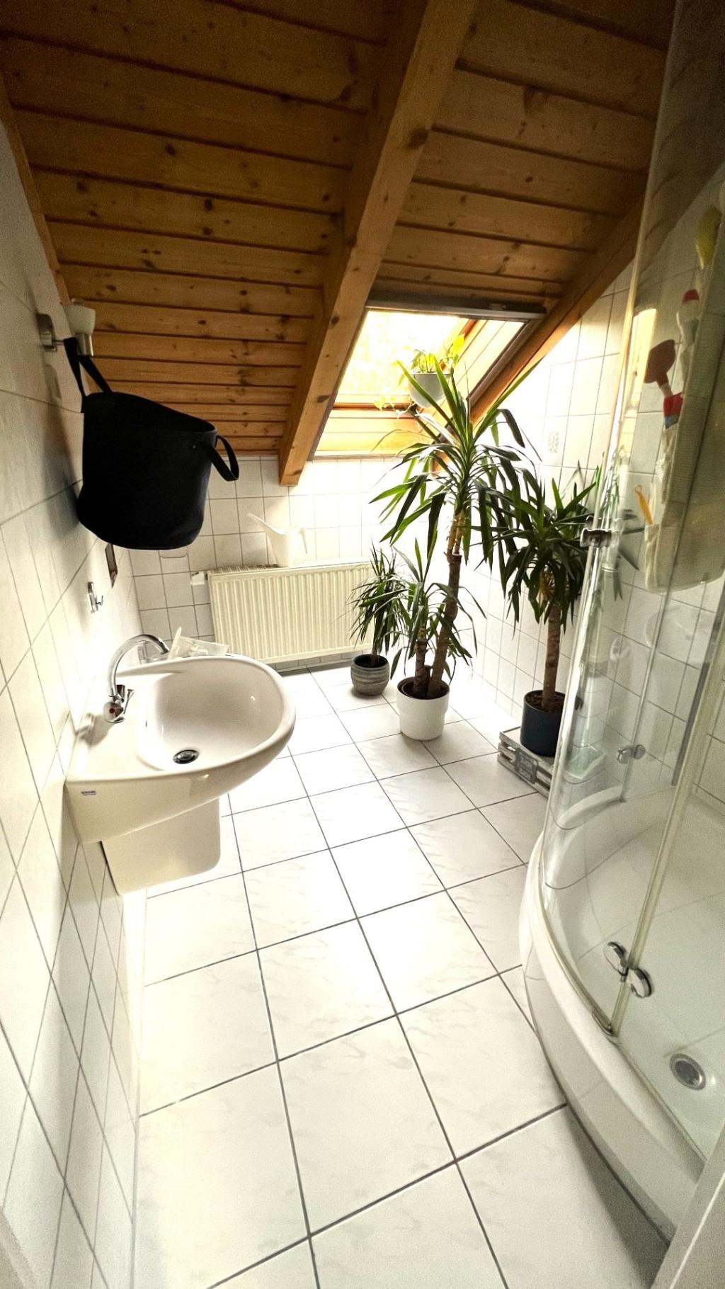 2. Bad mit Dusche, WC und Waschbecken