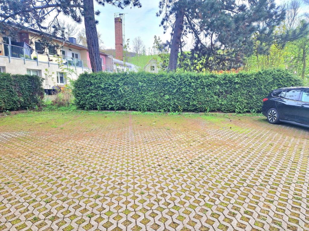 Schöne 4-Zimmer-Wohnung mit Balkon in Chemnitz/ Erfenschlag - Foto 5