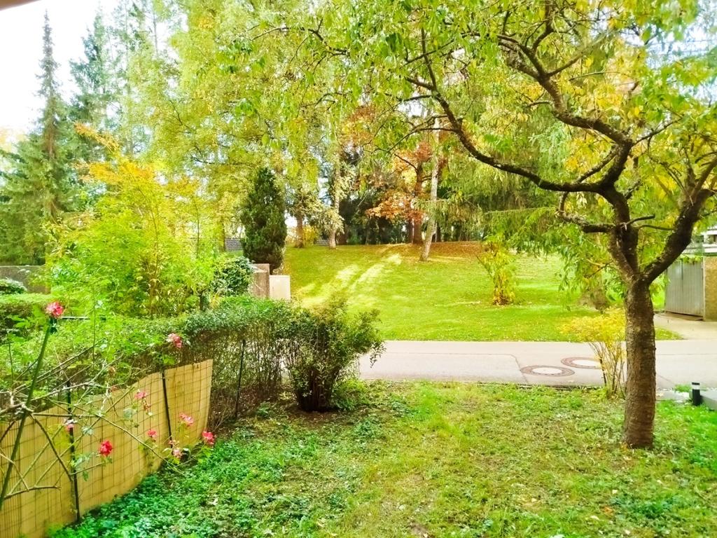 Blick von der Südterrasse.jpg