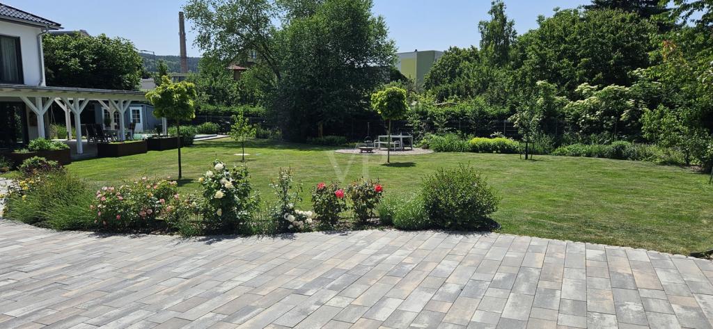Blick in Garten