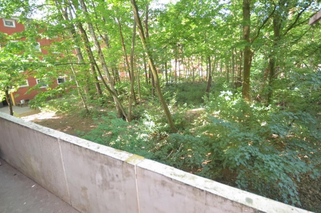 Blick vom Balkon