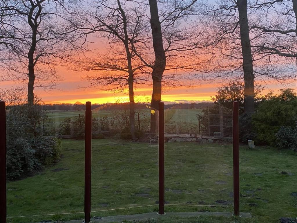 Abendstimmung