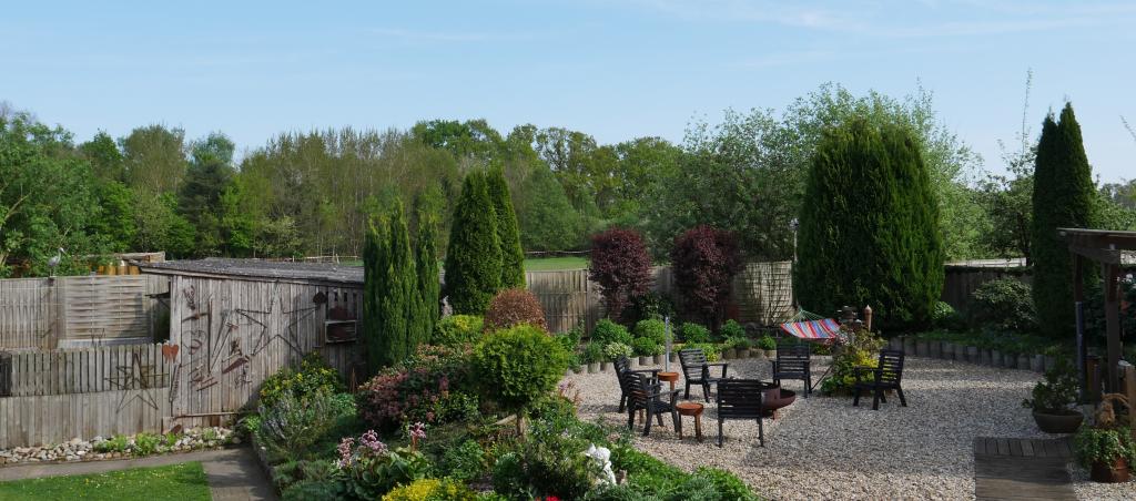Blick in den Garten_2