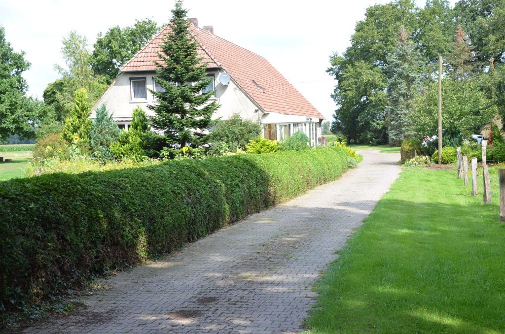 Vorderansicht