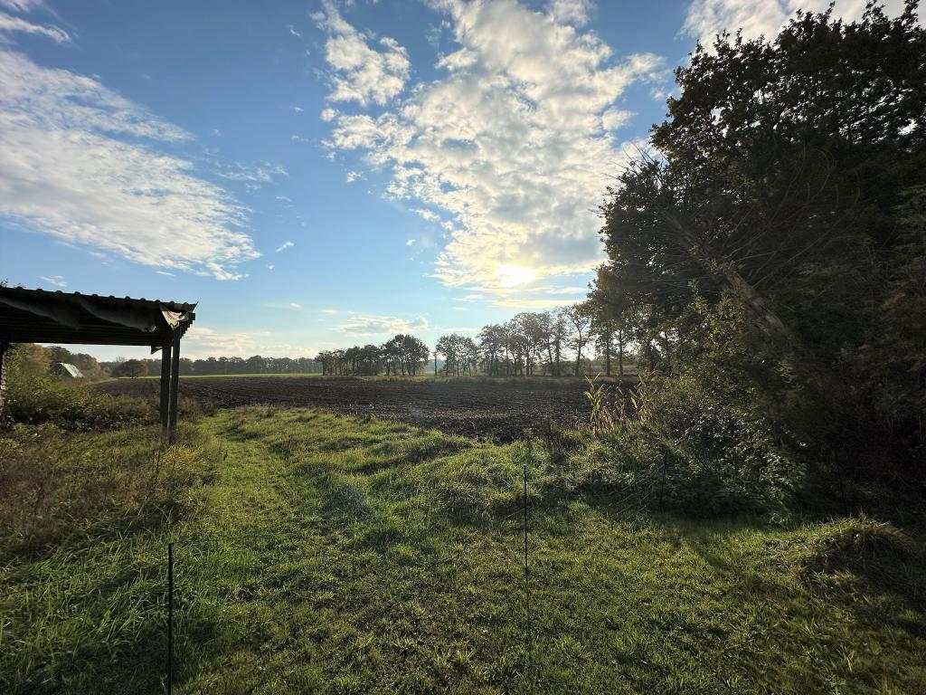 Aussicht ins Grüne