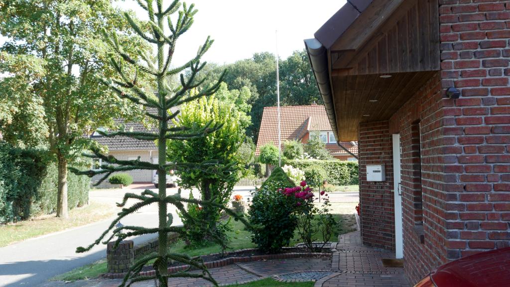Vorgarten