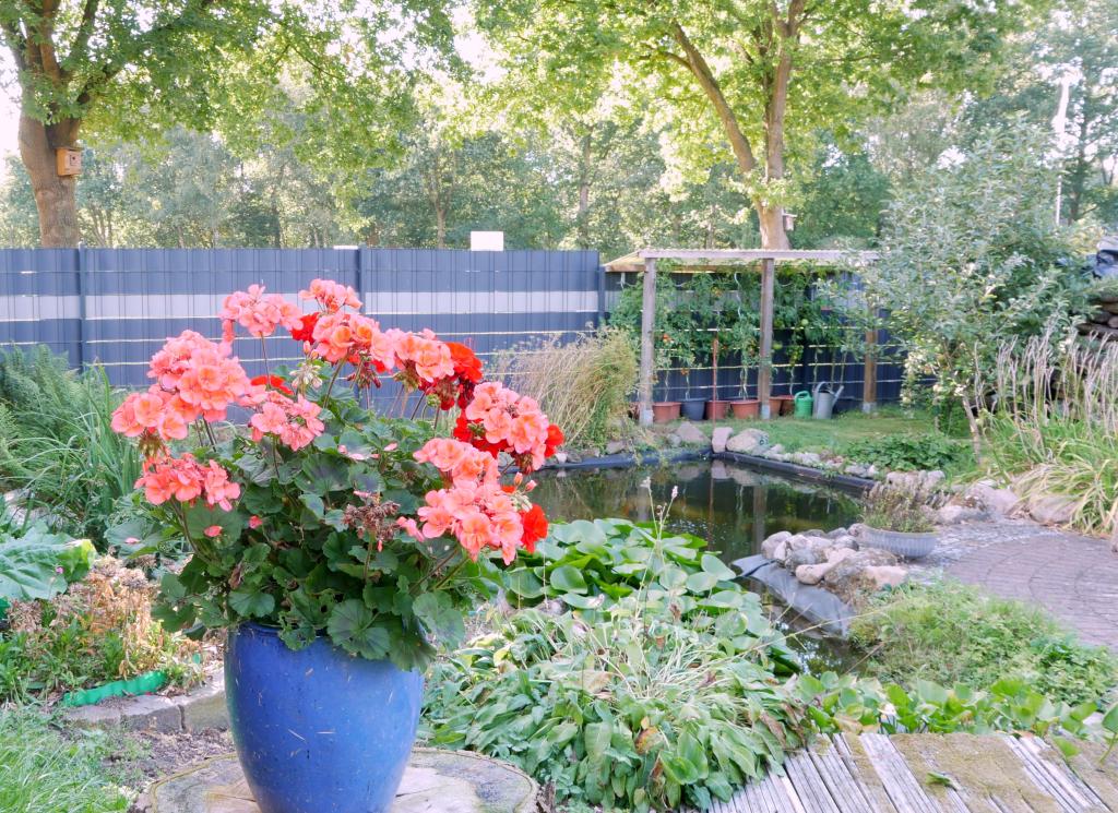 Gartenteich