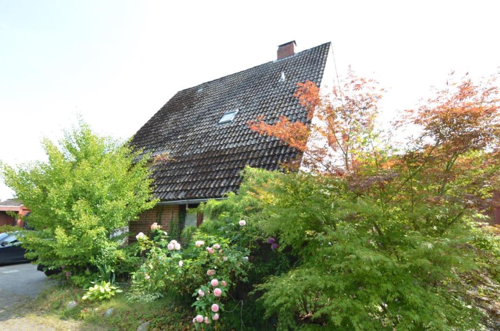 Seitenansicht