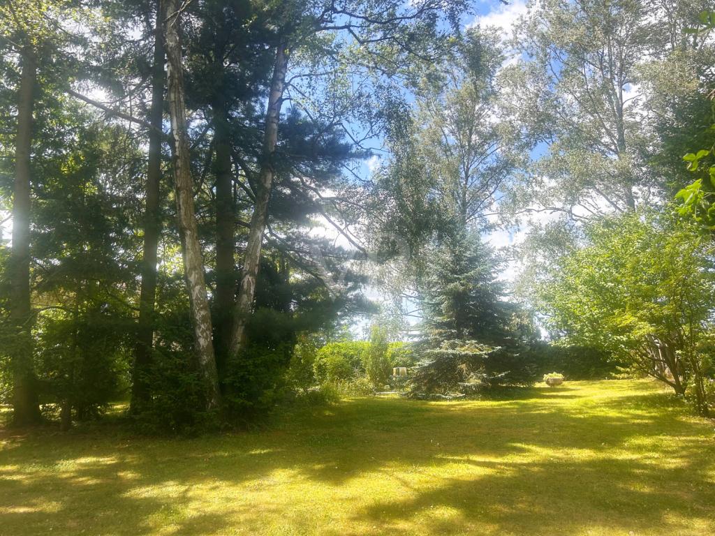 Parkähnlicher Garten
