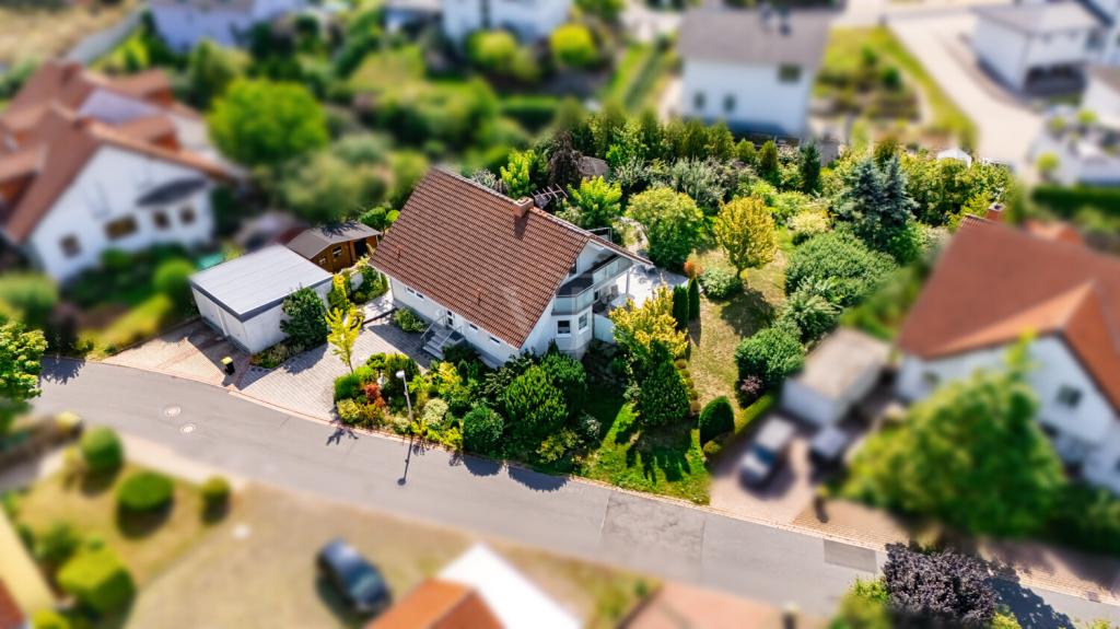 Birdview