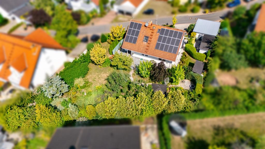 Birdview