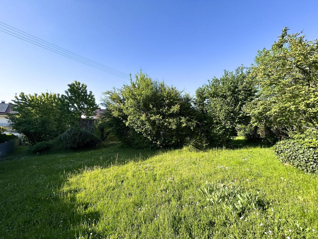 Im Garten