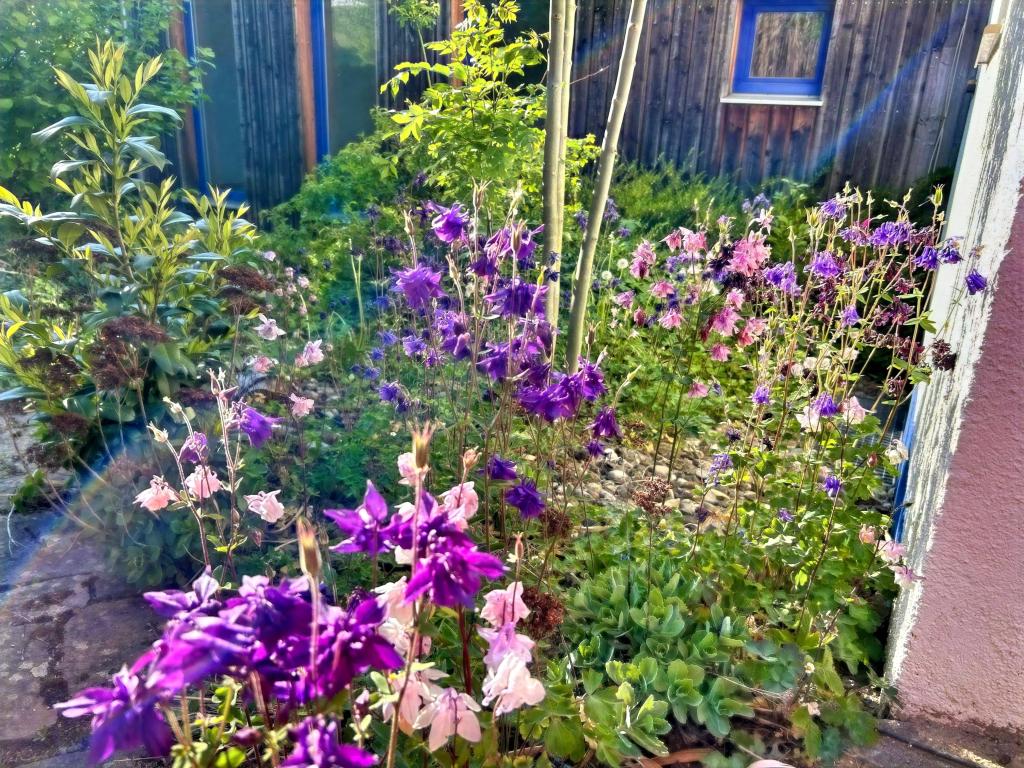 Im Garten