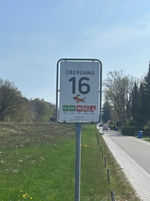 Strandaufgang