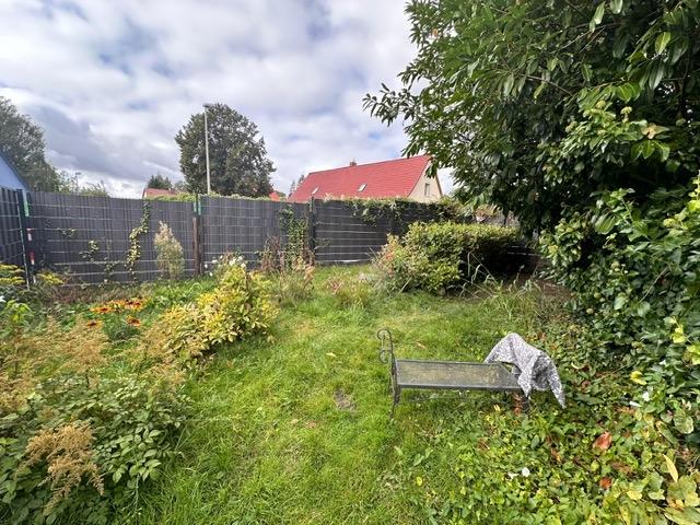 PHOTO-2024-10-22-11-34-57 (5)