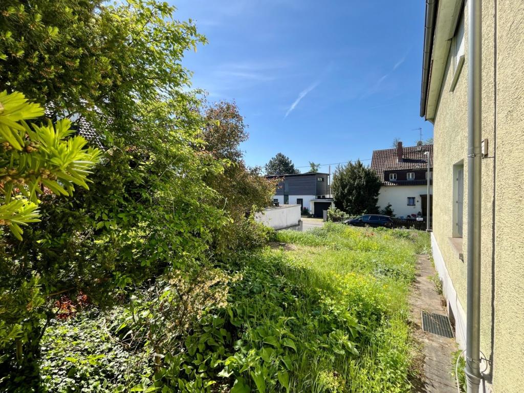 Garten 2